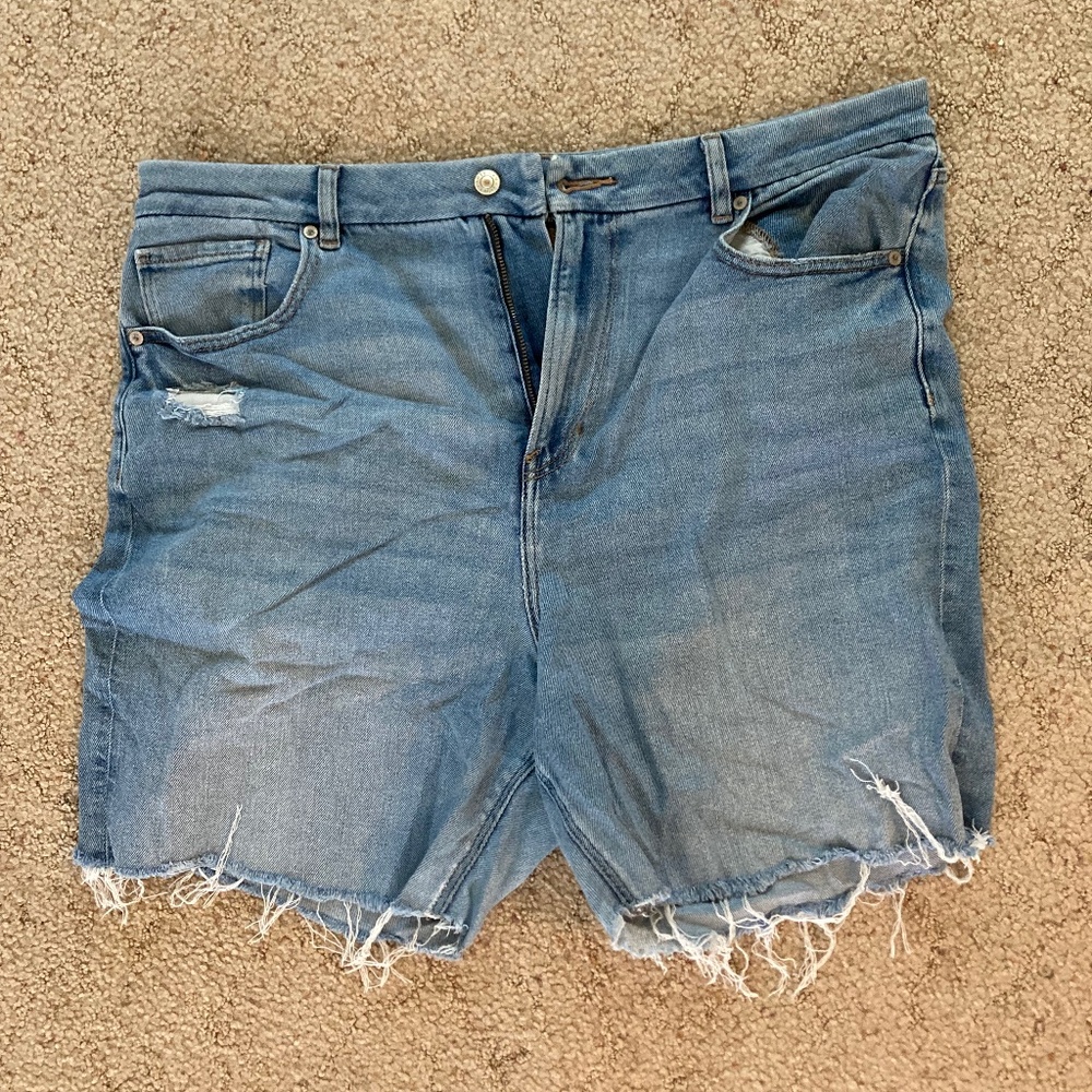 American Eagle Curvy Shorts 18